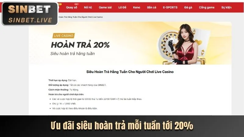 Đa dạng trò chơi cá cược tại 11bet